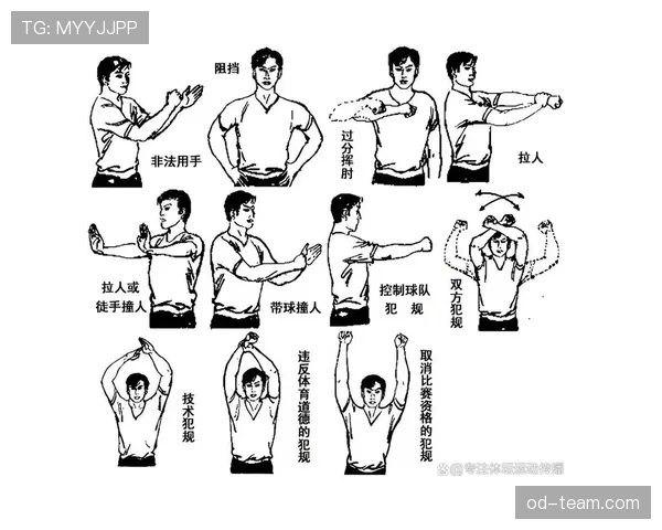 八秒违例怎么吹？一次看懂篮球回场规则与常见争议